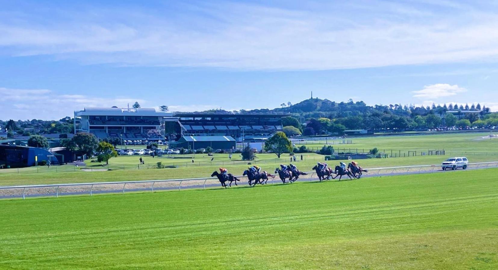 Panoramic Racecourse View - A Quiet Family Over The Turf *